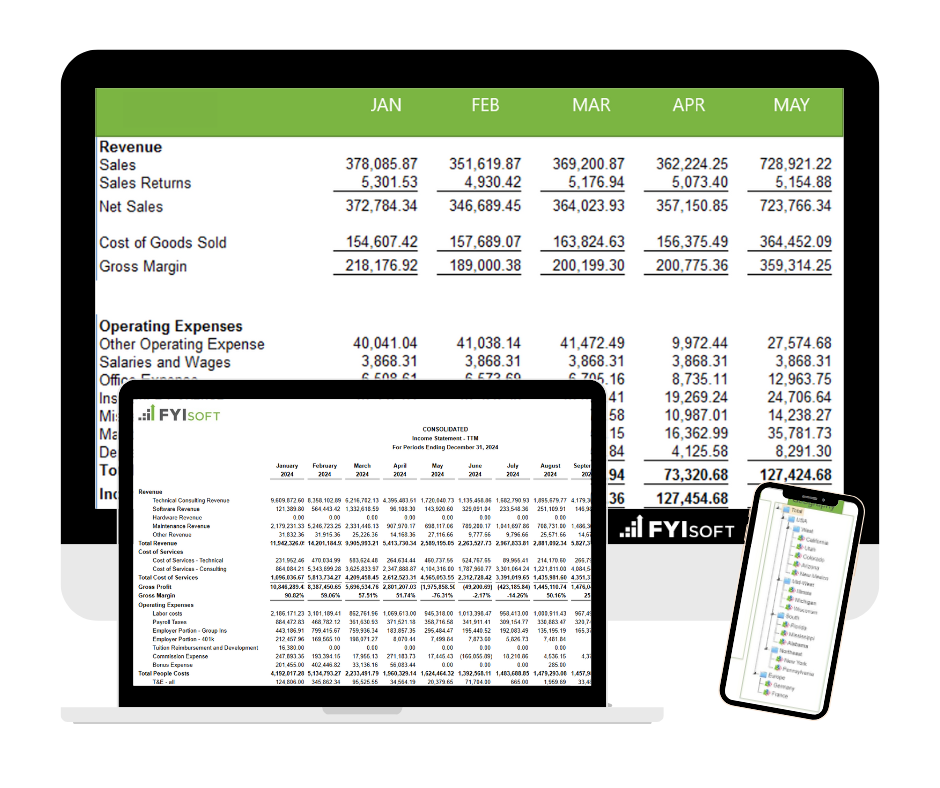 multi-entity consolidation and reporting software